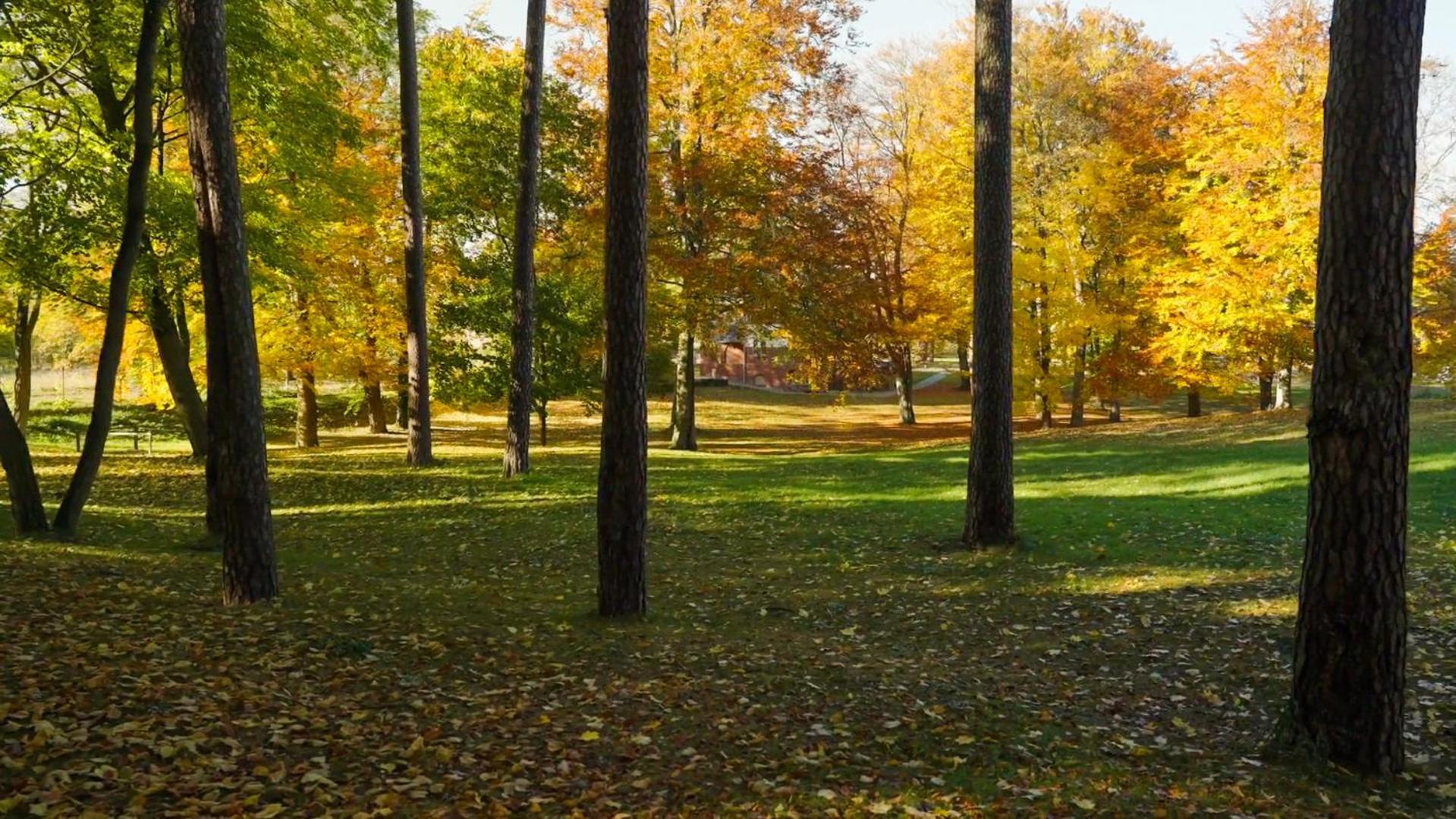 Parkresidenz Lychen, Ferienwohnung 4 Kültér fotó